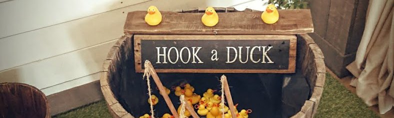 Hook a Duck Header Image